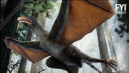 A Study Supports Mammal Evolution Theory