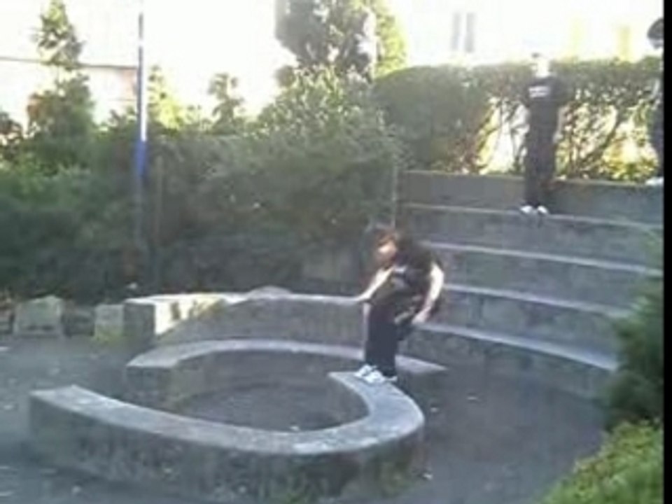 Trebla 2007