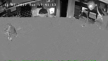 Tentative de vol à l'arraché d'un ordinateur dans un restaurant