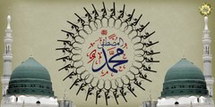 لطميات وفاة الرسول أبو القاسم محمد بن عبد الله بن عبد المطلب صلوات الله عليهم أجمعين