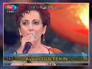 Aysun GÜLTEKİN - Bitlis'te Beş Minare