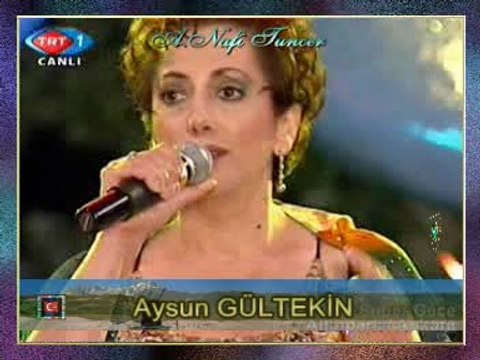 Aysun GÜLTEKİN - Yüce Dağ Başında Yanar Bir Işık