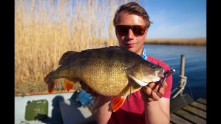 PERCH FISHING FOR BIG RIVER PERCH