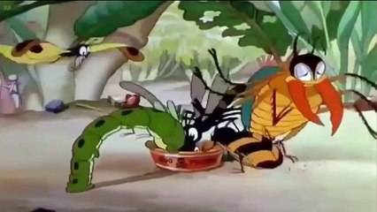 Chip and Dale Funny Chipmunk and Donald Duck - Pluto - Mickey Mouse Clubhouse Full Episodes