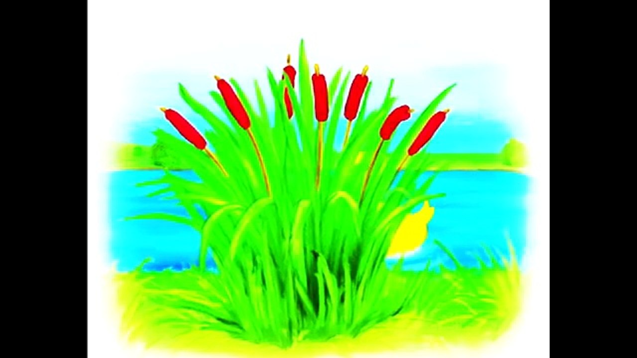 Tiny Love (Тини Лав) - Развивающий мультфильм для малышей от 3 до 12 месяцев