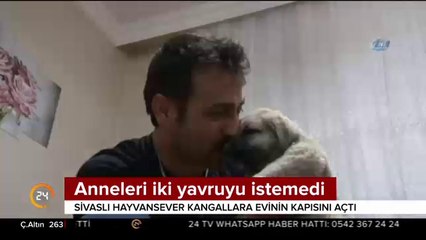 Anneleri iki yavruyu istemedi