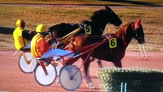 PB140002 Heat Easy Bordeaux lebouscat