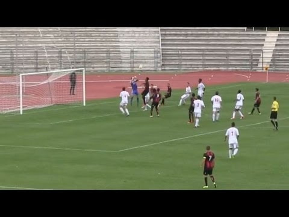 Résumé Nice - Valence (CFA)