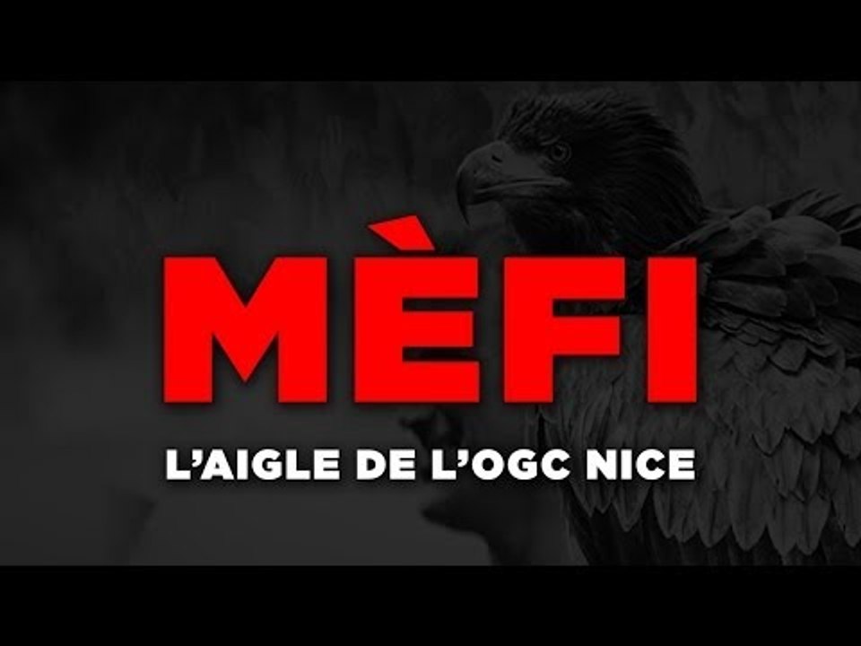 Mèfi : l'aigle de Nice