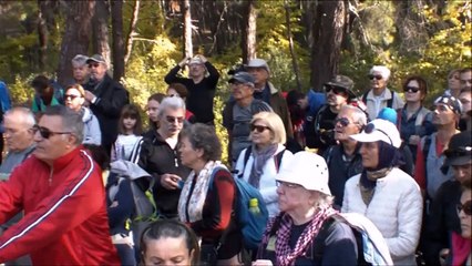 Deliömerli Yeniköy Parkuru Roma Hamamları