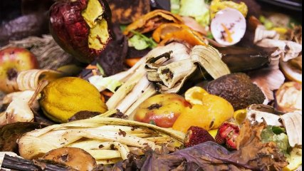 WATCH|Wasted The Story of Food Waste Full Movie|Online|Free HD