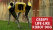This new robot dog from Boston Dynamics is creepily lifelike