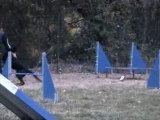 Athor en Agility 10 Nov 2007