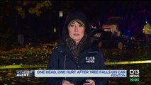 Mom Killed, Sister Injured After Tree Falls on Passing Car in Washington State