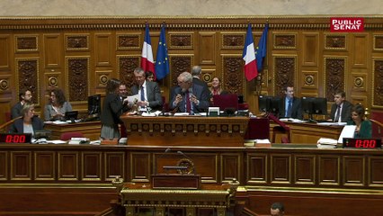 Descargar video: Le Sénat a voté à l’unanimité l’exonération de la hausse de 1,7 point de CSG pour les aidants familiaux bénéficiaires de la PCH