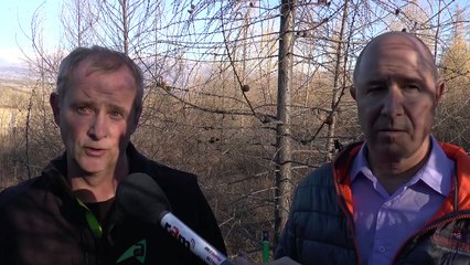 Le département veut planter 4000 arbres