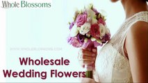 Wholesale Wedding Flowers - www.wholeblossoms.com