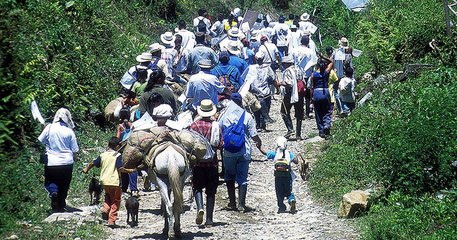 Las cicatrices del desplazamiento forzado en Colombia.Libia Posada.