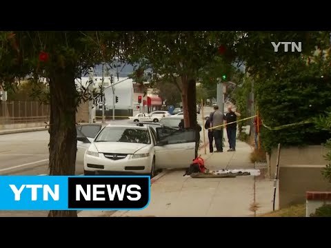 LA서도 성소수자 겨냥 범행 기도...용의자 검거 / YTN (Yes! Top News)