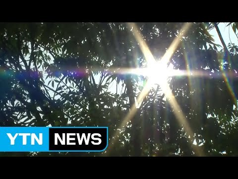 [날씨] 한여름 무더위 계속...주 후반 장마전선 북상 / YTN (Yes! Top News)