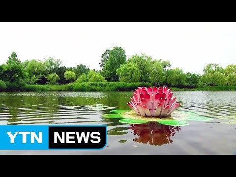 [날씨] 무더위에 습도까지 높아...불쾌지수↑ / YTN (Yes! Top News)