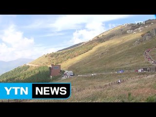 [울산] 영남알프스 케이블카 노선 결정...추진 탄력 / YTN (Yes! Top News)