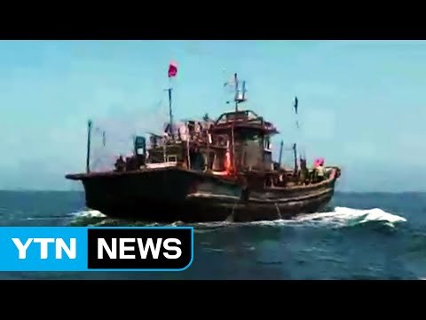 [영상] 백령도 해상서 불법 조업 中어선 나포 작전 / YTN (Yes! Top News)
