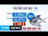 [쏙쏙] 20년간 몸값 가장 많이 오른 생선은? / YTN (Yes! Top News)