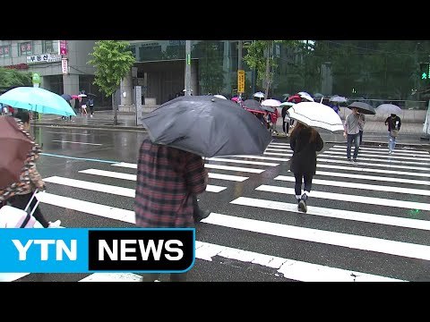 [날씨] 내일 오전까지 전국 비...더위 주춤 / YTN (Yes! Top News)