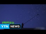 도시의 천덕꾸러기 비둘기, 예술로 변신하다 / YTN (Yes! Top News)