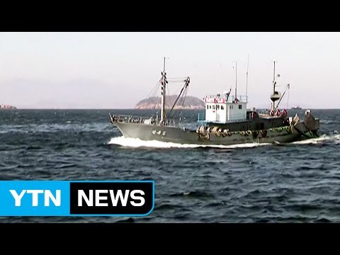 北 어선 서해 NLL 조업 증가...우발적 충돌 가능성 / YTN (Yes! Top News)