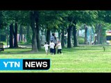 [날씨] 도심 공원에서 더위 식혀요...경북 폭염주의보 / YTN (Yes! Top News)