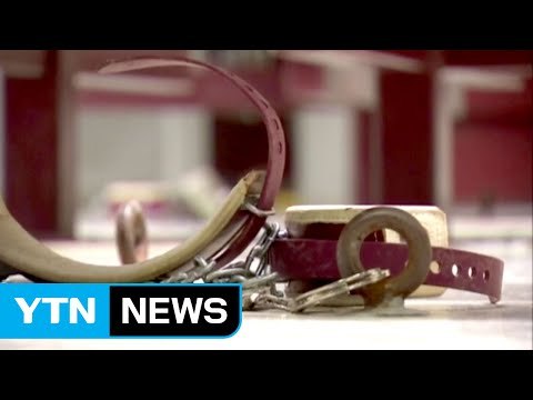 美 CIA 고문 추가 공개 ... 곤충으로 용의자 고문 / YTN (Yes! Top News)