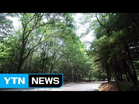 [날씨] 경북 폭염주의보 확대...일요일 제주도 장마 / YTN (Yes! Top News)