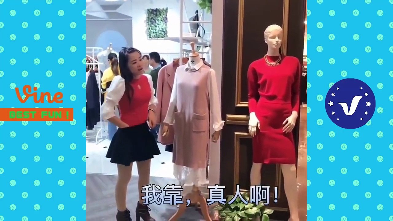 Funny Videos Compilation