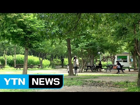 [날씨] 주말도 폭염 계속...일요일 제주도 장마 / YTN (Yes! Top News)
