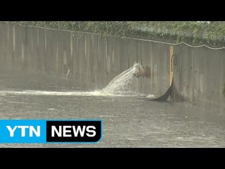 부산 전역에 게릴라성 호우...늦은 오후까지 비  / YTN (Yes! Top News)