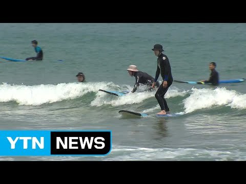 올해 최고 기온 기록...산으로 바다로! / YTN (Yes! Top News)