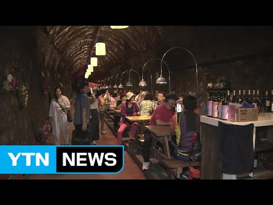 기차다니던 터널에 와인이 가득 '청도 와인터널' / YTN (Yes! Top News)