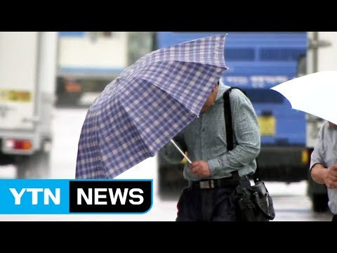 [날씨] 내일 전국 장맛비...남부 돌풍·벼락 동반 120mm 폭우 / YTN (Yes! Top News)