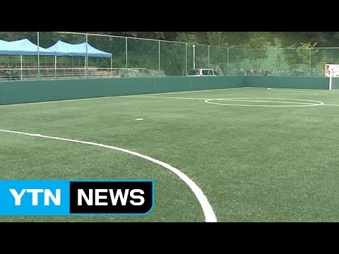 [울산] 울산시, 인조잔디, 우레탄 트랙 유해성 검사 / YTN (Yes! Top News)
