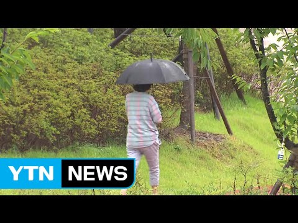 [날씨] 오늘 '하지' 무더위 계속...밤에 남부 장맛비 / YTN (Yes! Top...