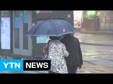 [날씨] 장마 오늘 일시 소강...내일 다시 전국 장맛비 / YTN (Yes! Top News)
