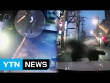 고의사고 보험사기꾼 뺑소니 신고했다 덜미 / YTN (Yes! Top News)