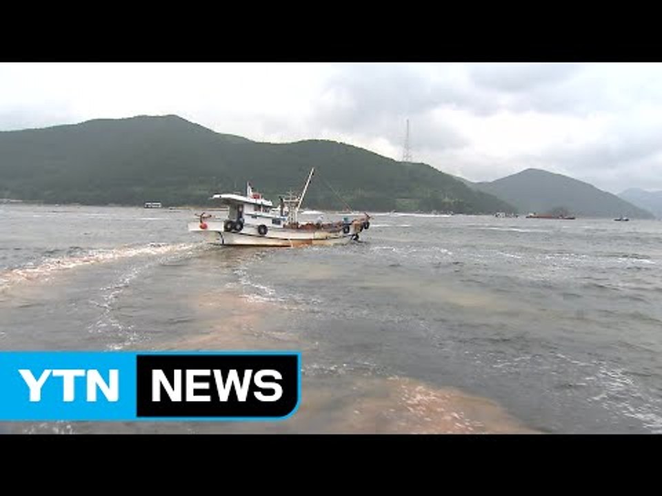 [경북] 경북, "7월 초순 적조 예상"...피해 대책 마련 / YTN (Yes! T...