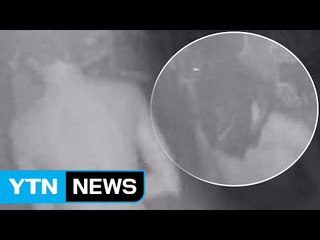 [단독] 조용히 능숙하게...'알몸 도둑' 출몰 / YTN (Yes! Top News)