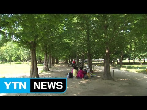 [날씨] 내일 무더위 속 소나기...모레 오후 장맛비 / YTN (Yes! Top News)