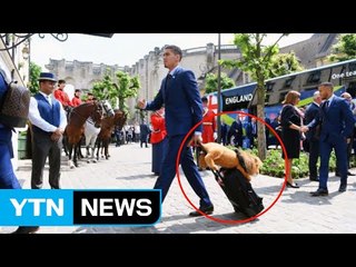 유로 16강에 떨어지자 뒤바뀐 '마스코트'의 운명 / YTN (Yes! Top News)