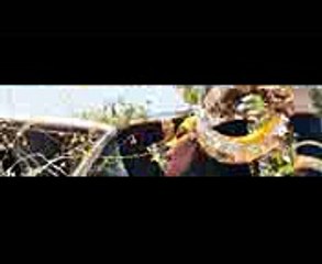 DAWN - Wake Up (A Fashion Film)