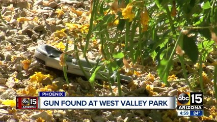 Gun found at West Valley park where teen was shot
